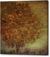 Autumn Tree Canvas Print