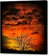 #autumn #tree #winter #sunset #fire Canvas Print