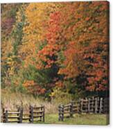 Autumn Trees And Fence Canvas Print