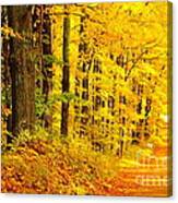 Golden Tunnel In Autumn Canvas Print