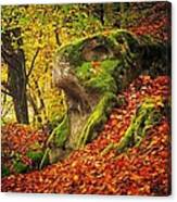 Autumn Walk In Forrest Canvas Print