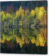 Autumnal Silence Canvas Print