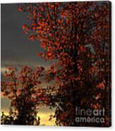 Autumn's First Light Canvas Print