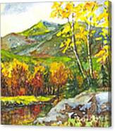 Autumn's Showpiece Canvas Print