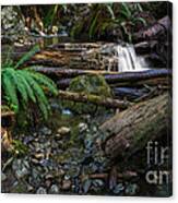 Avatar Grove Creek Bed Canvas Print