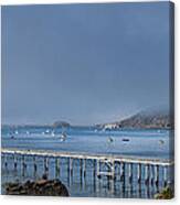 Avila Beach Pier And Harbor Canvas Print