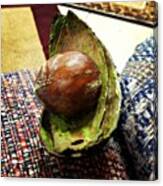 #avocado #dinner #wonderful #yesss Canvas Print