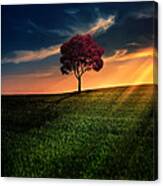 Awesome Solitude Canvas Print