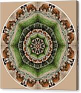 Baby Bison Mandala Canvas Print