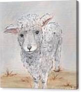 Baby Farm Animal Lamb Canvas Print