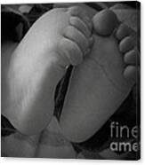 Baby Feet Canvas Print