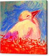 Baby Stork Canvas Print