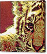 Baby Tiger Panorama Canvas Print