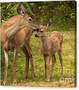 Motherly Love Canvas Print