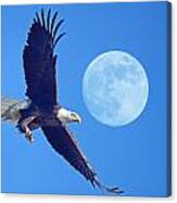 Bald Eagle And Full Moon Canvas Print