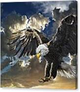 Bald Eagle Haliaeetus Leucocephalus Canvas Print