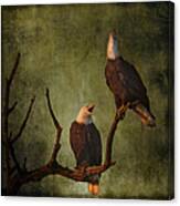 Bald Eagle Serenade Canvas Print