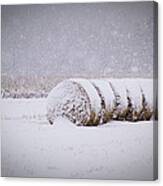 Bales In Snow Canvas Print