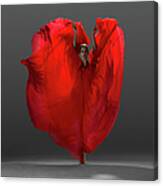 Ballerina On Pointe With Red Dress Canvas Print