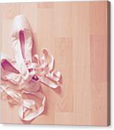 Ballet Shoes Canvas Print