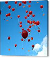 Balloons In The Air Canvas Print