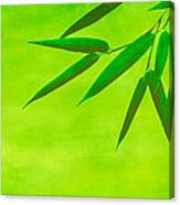 Bamboo Leaves Canvas Print