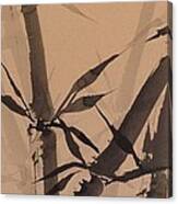 Bamboo Study #1 On Tagboard Canvas Print