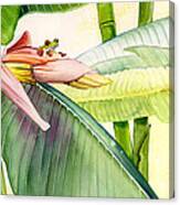 Banana Bloom Canvas Print