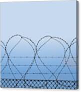 Barbed Wire Canvas Print