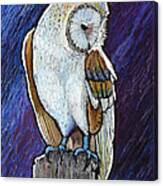 Barn Owl Canvas Print