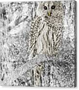 Barred Owl Snowy Day In The Forest Canvas Print Barred Owl Snowy Day In The Forest Canvas Print