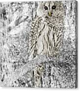 Barred Owl Snowy Day In The Forest Canvas Print