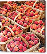 Baskets Of Peaches Canvas Print