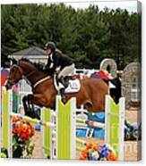 Bay Show Jumper Canvas Print