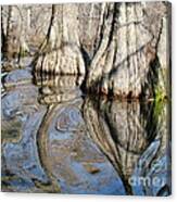 Bayou Reflection Canvas Print