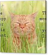 Be Happy For This Moment Canvas Print