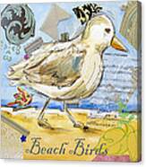 Beach Birds Canvas Print