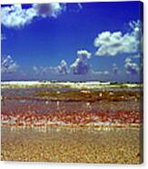 Beach Canvas Print