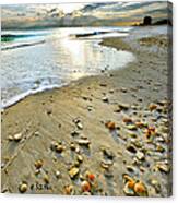 Beach Sunset And Seashells Canvas Print