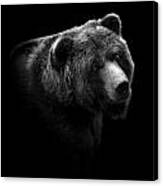 Portrait Of Bear In Black And White Canvas Print