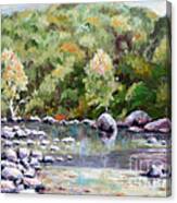 Bear River Morning Canvas Print