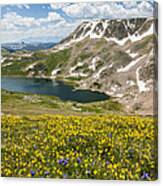 Beartooth Splendor Canvas Print