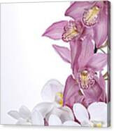 Beautiful Orchid Pink Canvas Print