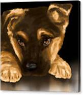 Beautiful Puppy Canvas Print