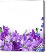 Beautiful Purple Flower Frames Canvas Print