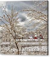 Beauty After The Storm Canvas Print