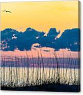 Beauty And The Birds Canvas Print