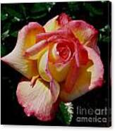 Beauty At Its Best Canvas Print