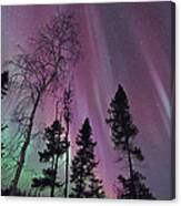 Beauty Of A Night Canvas Print