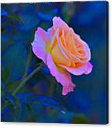 Flower 3 Canvas Print